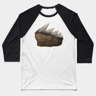 Cow Shark Tooth Baseball T-Shirt